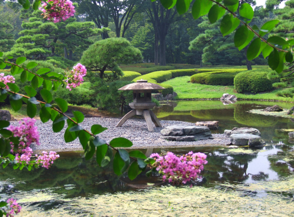 jardin japonais
